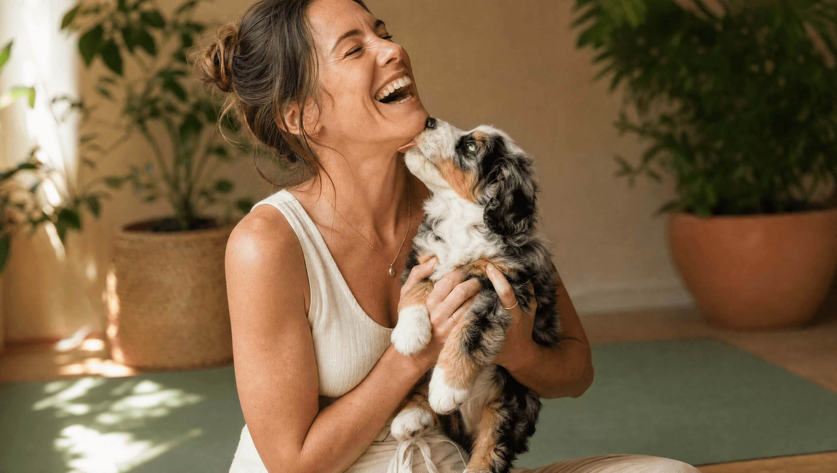 A woman in a Brisbane yoga studio laughing mid-class as a bernedoodle puppy reaches up to lick her chin